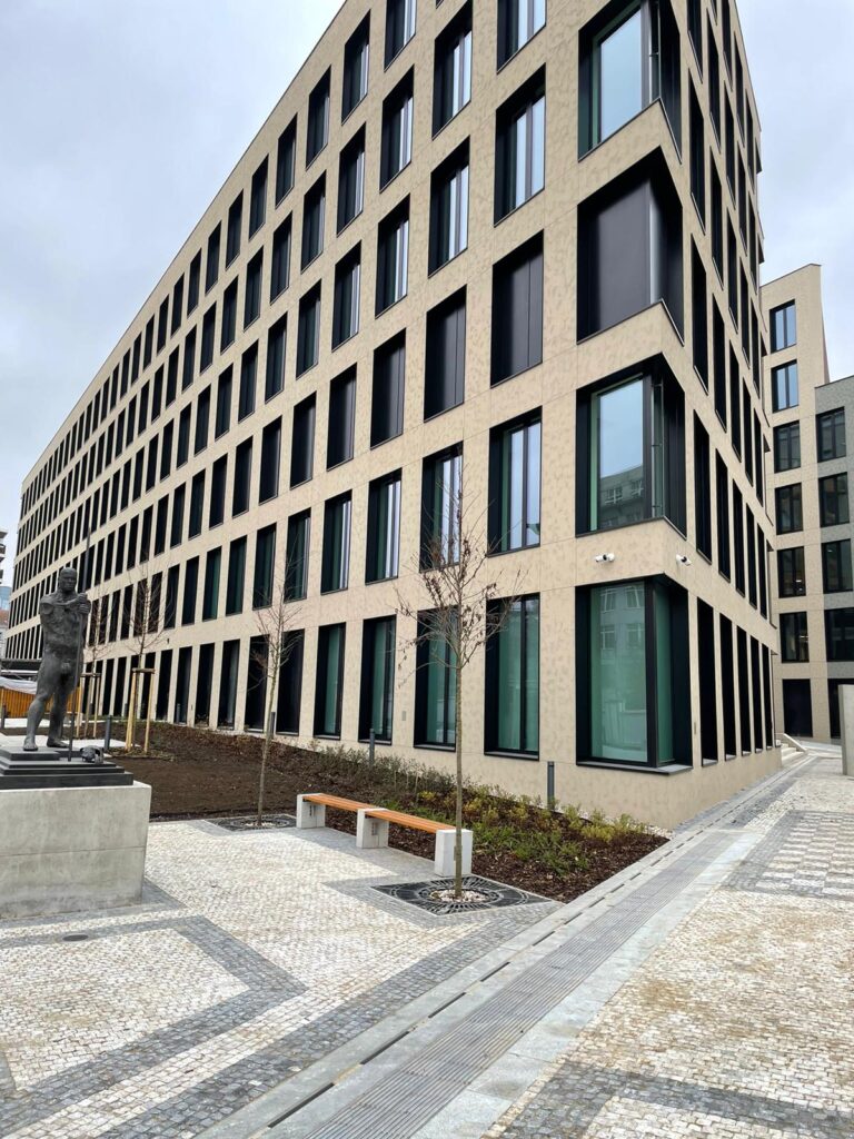 WhatsApp Image 2025-12-19 at 06.37.06