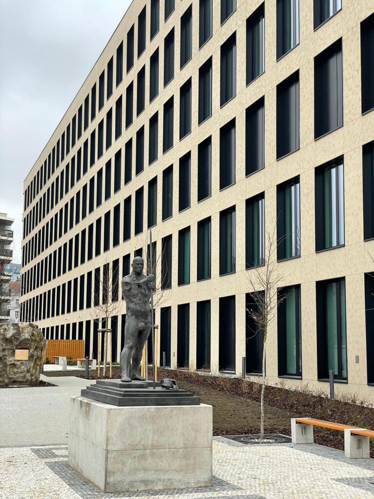 WhatsApp Image 2025-12-19 at 06.38.39 (2)